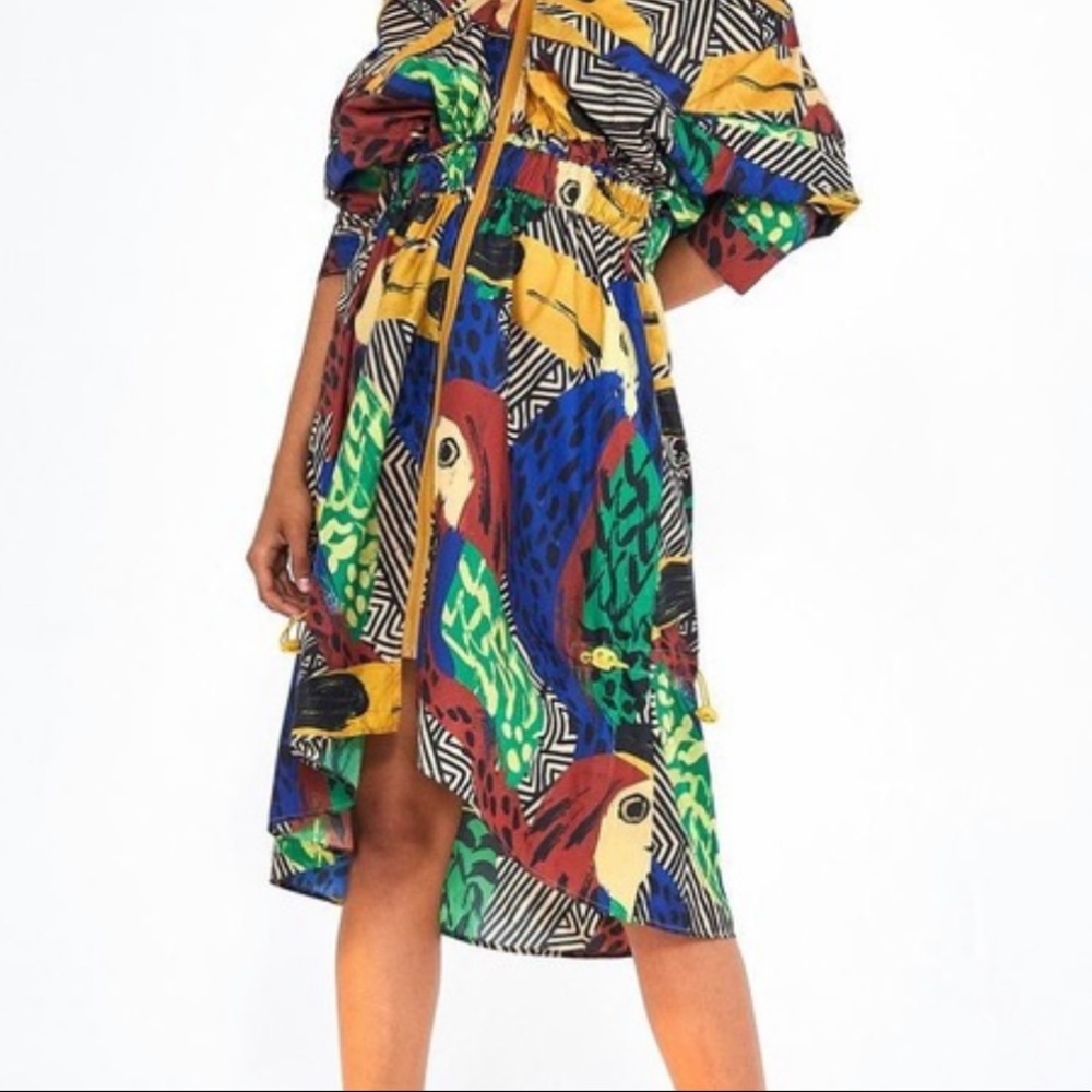 Farm Rio Multicolor Gouache Parka Tropical Dress